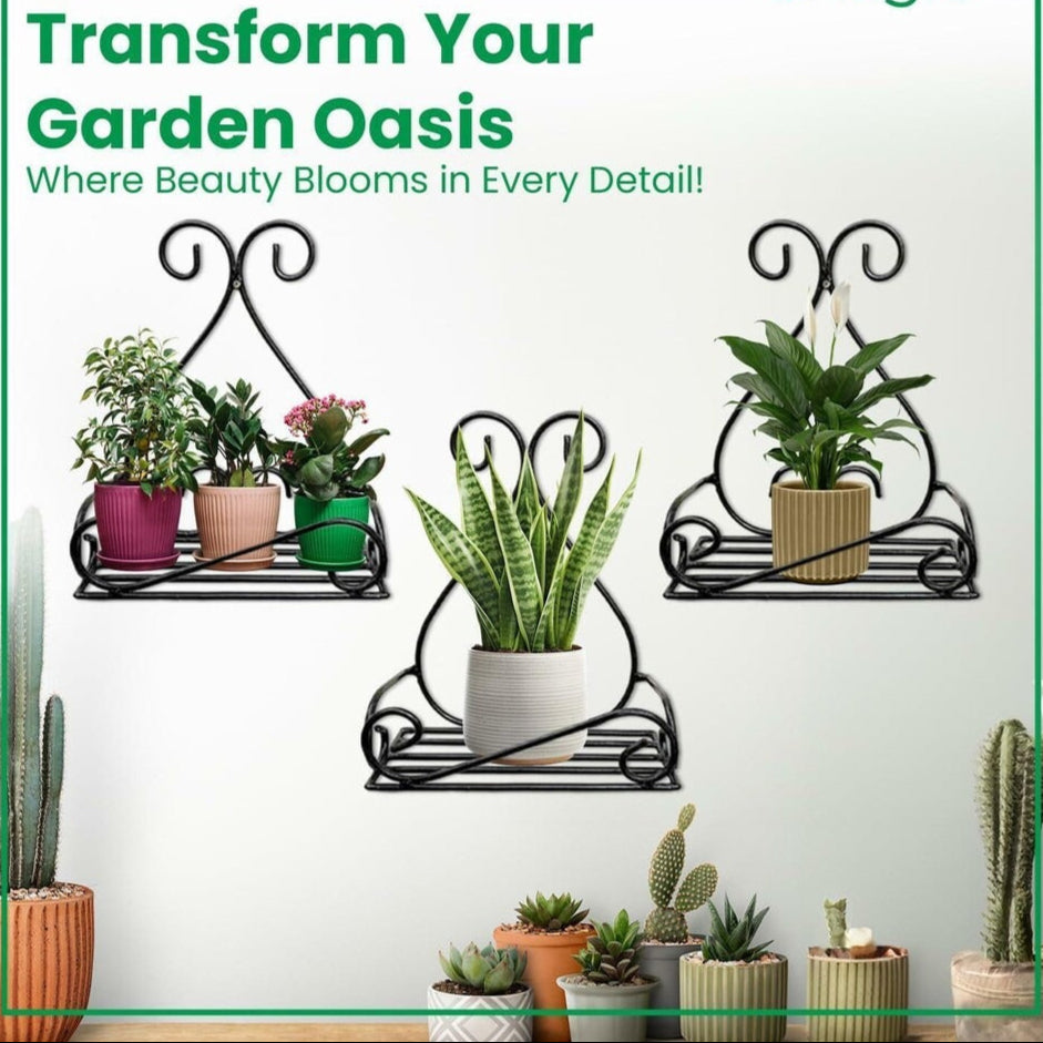 Muravie Planter